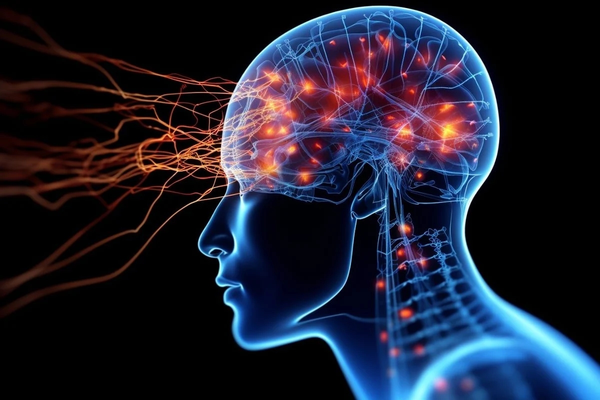 Connexion cerveau-mouvement